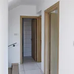 فيلة Nissini *
